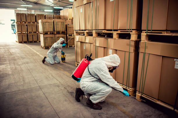 Best Ant Control Services  in Spencer, WV